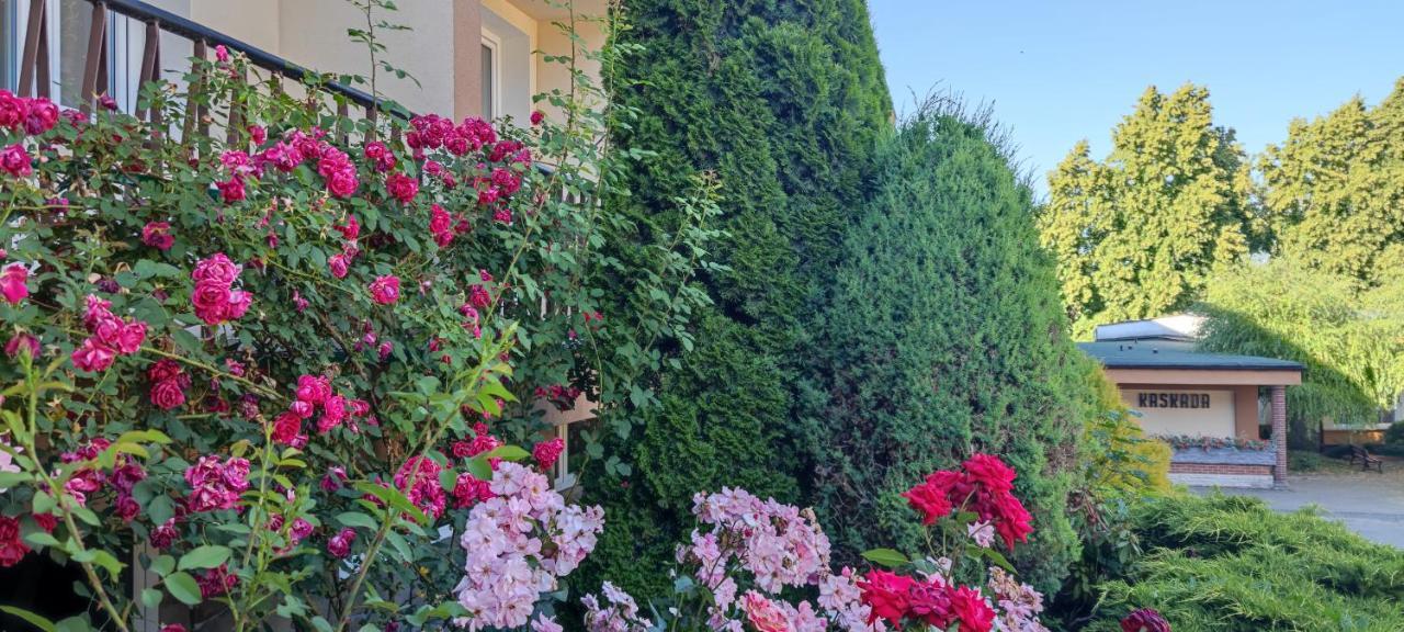 فندق Dw Halicz سولينا المظهر الخارجي الصورة